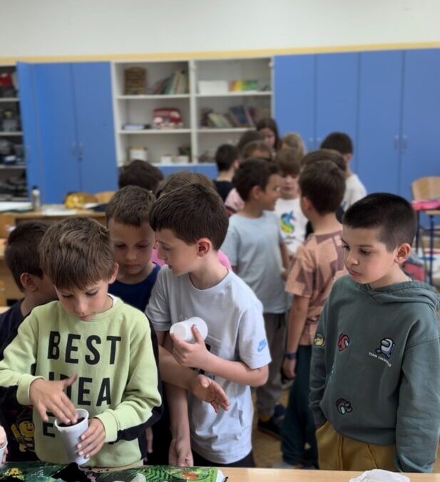 Projekt sadnje graha